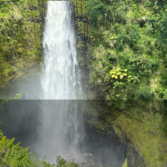 ʻAkaka Falls plunging over a mossy cliff into a deep rainforest ravine surrounded by tropical vegetation.