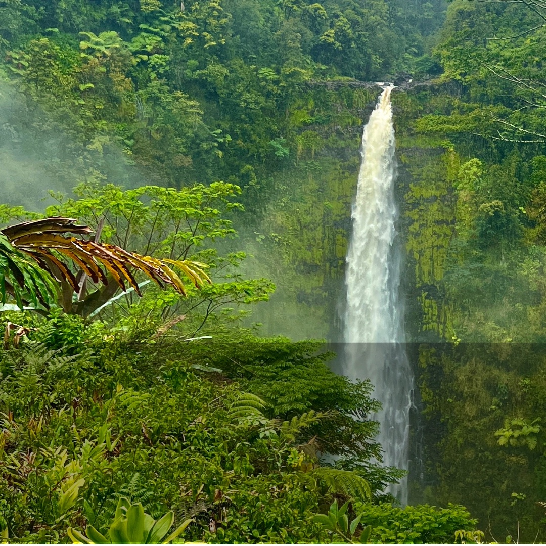 Akaka Falls plunging through dense rainforest at ʻAkaka Falls State Park on the Big Island.'