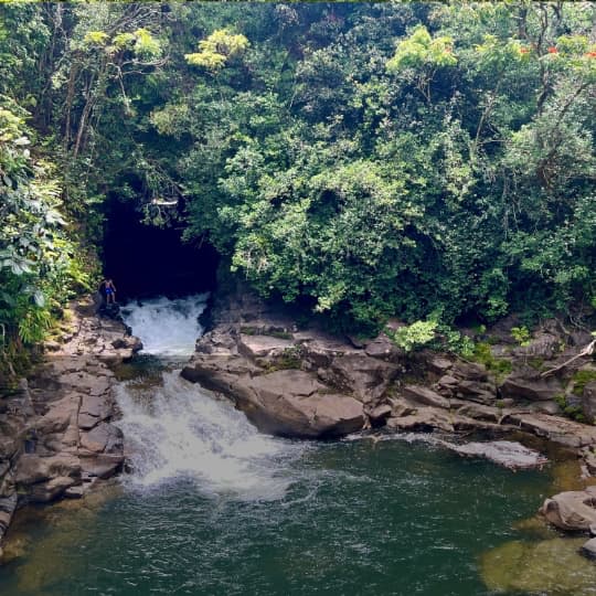 Waterfall emerging from a lava tube into Kawanui Stream on the Hāmākua Coast, Big Island of Hawaiʻi.