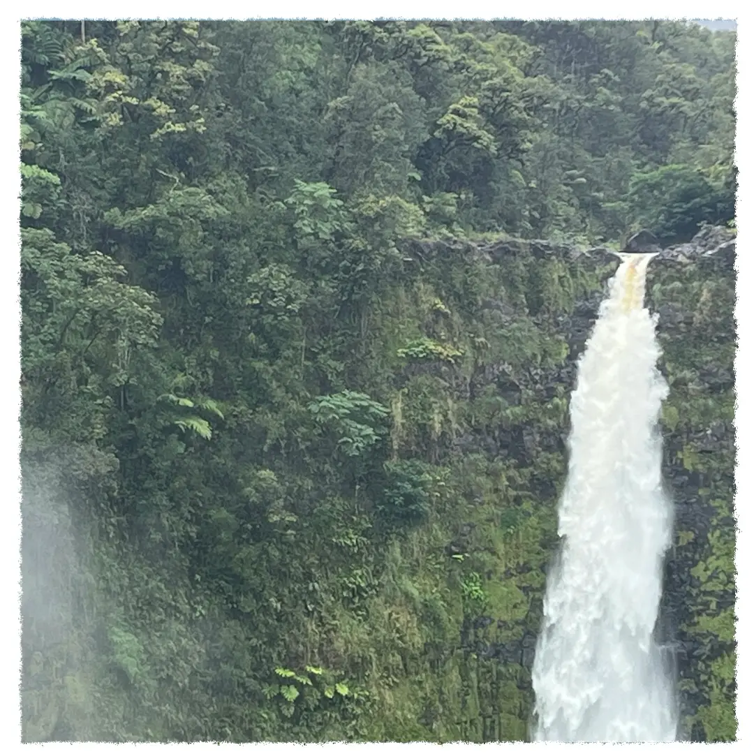 Akaka Falls plunging over a lush rainforest cliff on the Big Island of Hawaiʻi