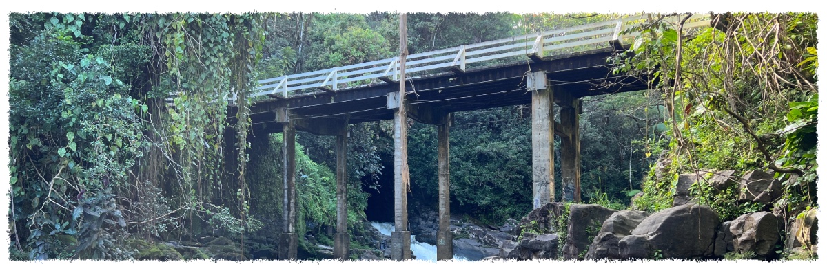 Old Māmalahoa Highway bridge crossing a lush rainforest gulch on the Big Island of Hawaiʻi.