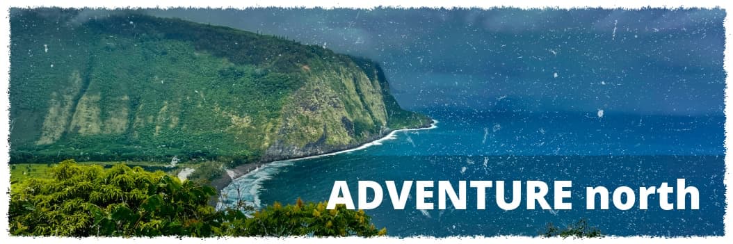 Select Heavenly Hāmākua rainforest and waterfall tour on the Big Island’s north coast