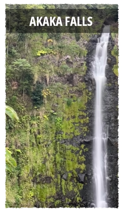 mediumnahuku.jpegCouple standing near ʻAkaka Falls surrounded by rainforest