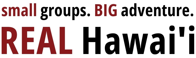small groups.. BIG adventure. REAL Hawai'l